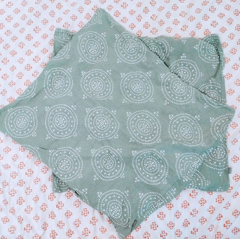 Serena & Lily linen euro shams - set of 2